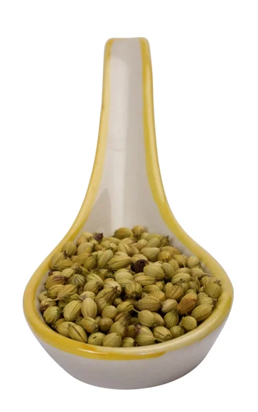Close-up of a spoon full of coriander seeds — Stock Photo, Image