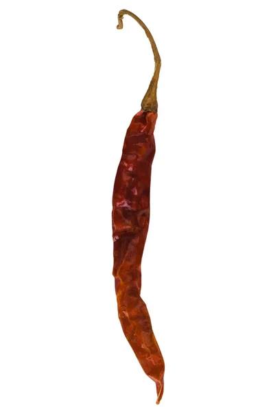 Primer plano de un chile rojo seco —  Fotos de Stock