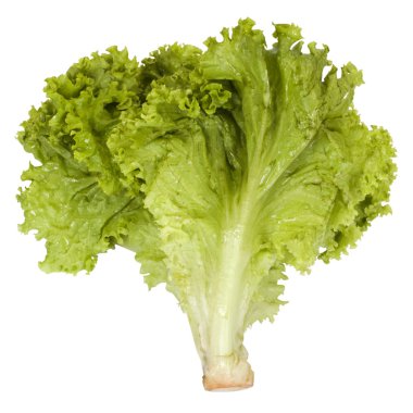 Marul yapraklarının yakın çekimi