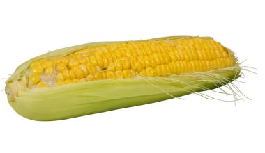 Bir mısır koçanı yakın plan