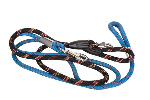 Close-up of dog leashes — Stock Photo, Image