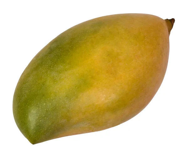 Gros plan sur une mangue — Photo