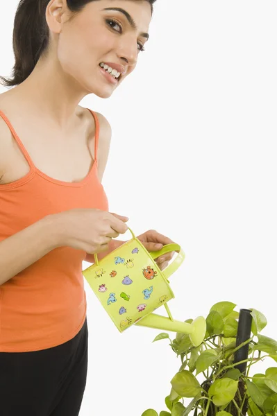 Mujer riego planta con una regadera —  Fotos de Stock