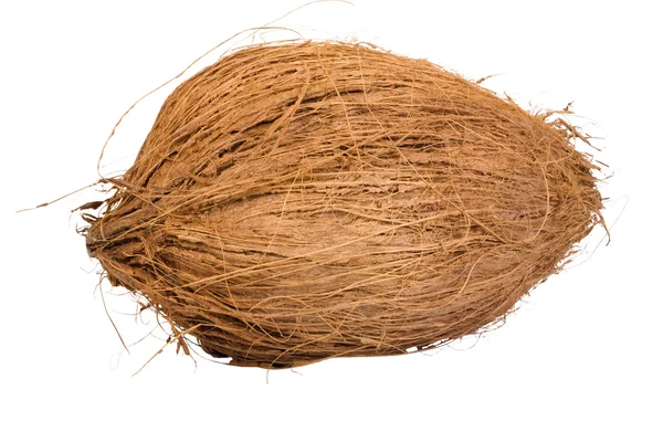 Close-up of a coconut — Stock Photo, Image