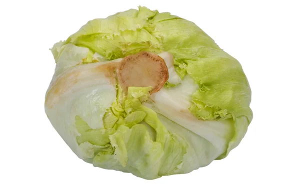 Close-up of a cabbage — Stock Photo, Image