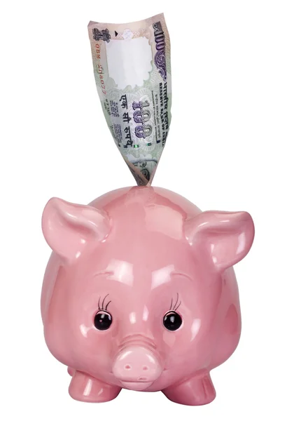 Close-up of a piggy bank with an Indian one hundred rupee note — Stock Photo, Image