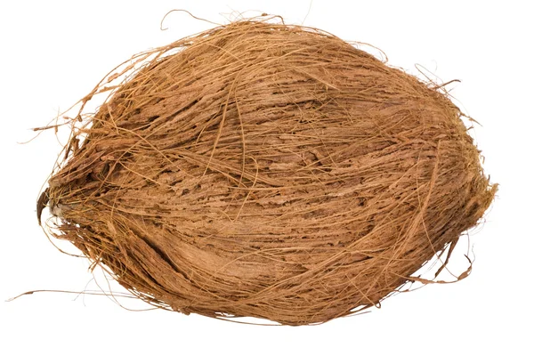 Close-up of a coconut — Stock Photo, Image