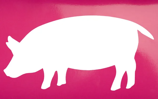 Silhouet van een varken — Stockfoto
