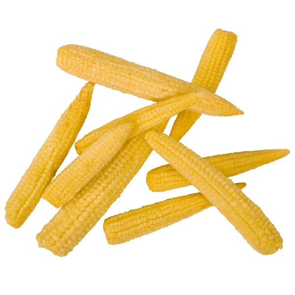 Primer plano de las mazorcas de maíz —  Fotos de Stock