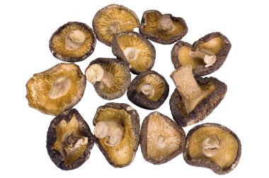 yakın çekim kurutulmuş mantar