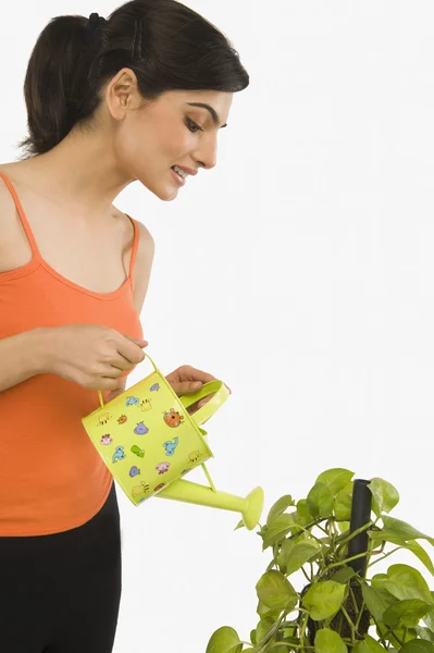 Woman watering plant with a watering can — Stock Photo, Image