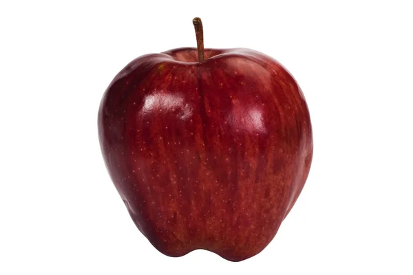 Gros plan d'une pomme — Photo