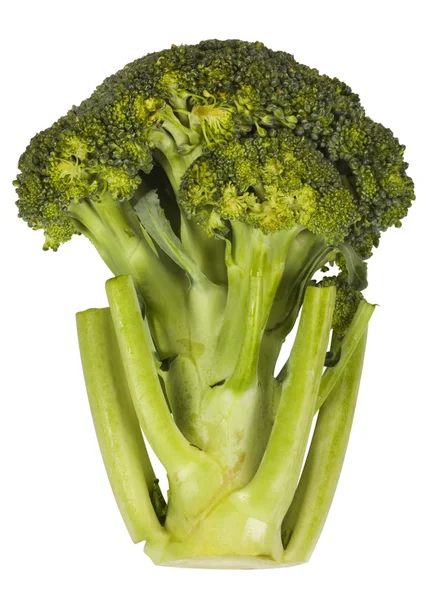 Primo piano di un broccolo — Foto Stock