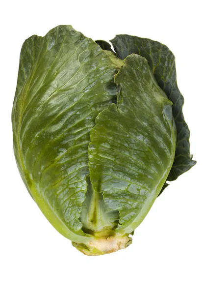 Close-up of a green cabbage — Stock Photo, Image