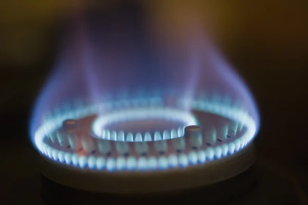 Flames on a gas stove — Stock Photo, Image