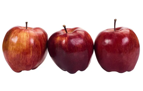 Close-up of apples in a row — Stock Photo, Image