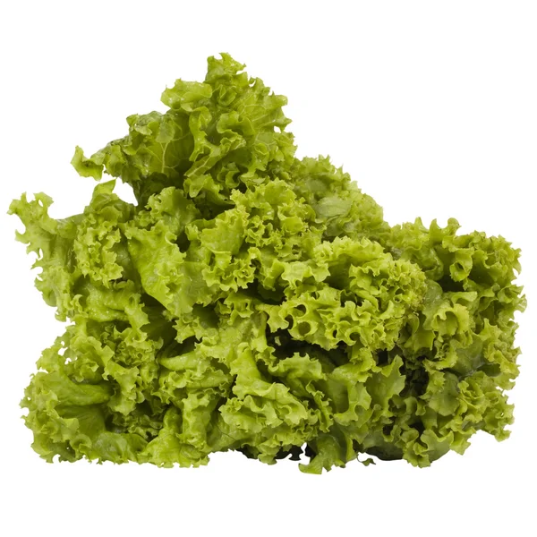 Close-up of lettuce leaves — Stock Photo, Image