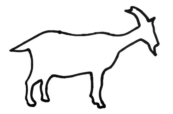 Outline of a goat — Stock Photo, Image