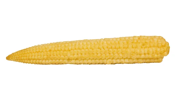 Крупним планом кукурудзяний коб — стокове фото