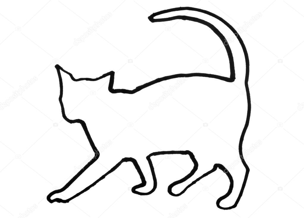 Outline Of A Cat Burge Bjgmc Tb Org