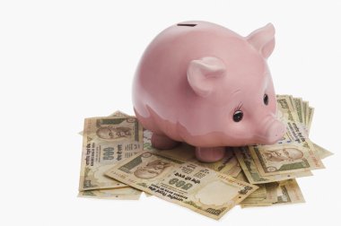 kumbara Hint döviz notları