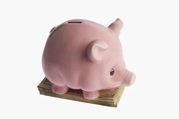 Banco porquinho — Fotografia de Stock