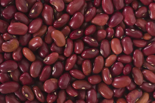 Kidney beans — Stock Photo, Image