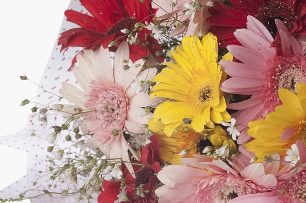 Bouquet of Daisy flowers — Stock Photo, Image