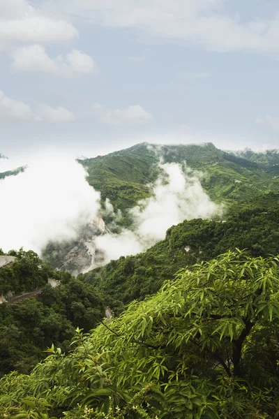 Vallée couverte de brouillard — Photo