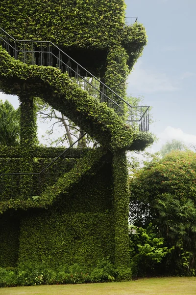 Topiary γλυπτά σε ένα πάρκο — Φωτογραφία Αρχείου