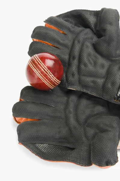 Cricket ball on wicket keeping gloves — Stock Photo, Image