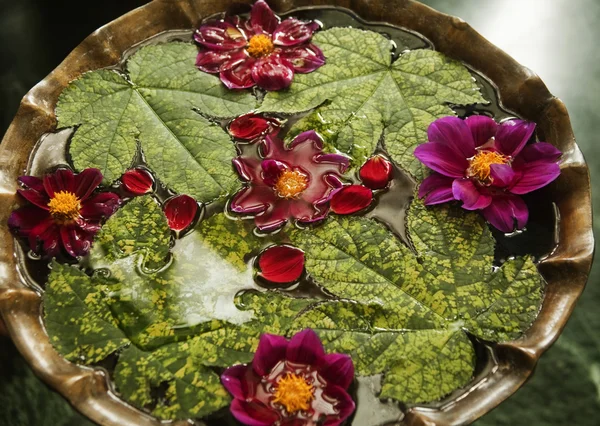 Leaves with flowers in a birdbath — Stock Photo, Image