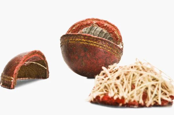 Worn out cricket ball — Stock Photo, Image