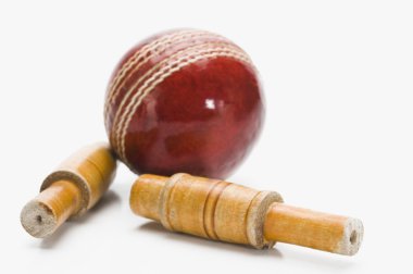 Kriket topu ve bails