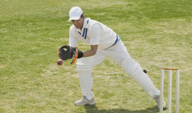 Cricket wicketkeeper catching a ball clipart