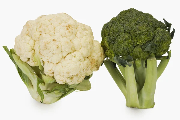 Broccoli with a cauliflower — Stock Photo, Image