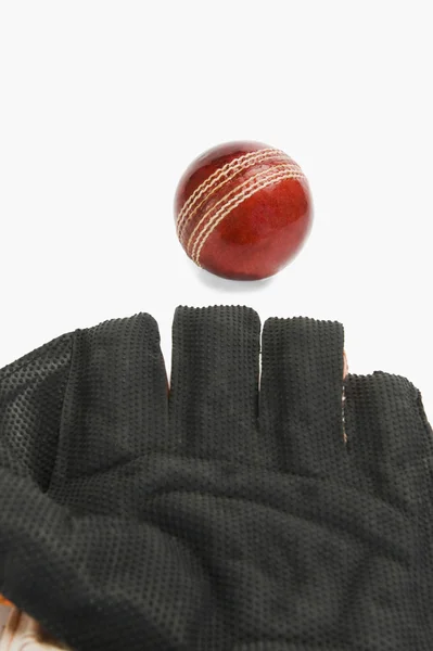 Bola de críquete e uma luva de guarda de postigo — Fotografia de Stock
