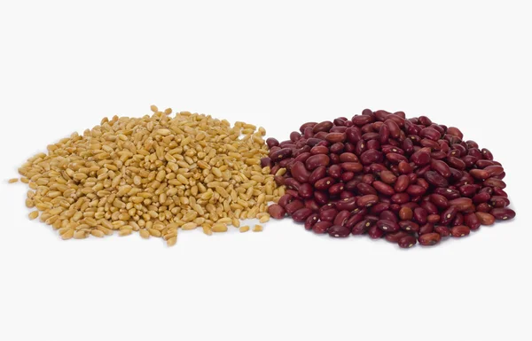 Wheat and kidney beans — Stock Photo, Image