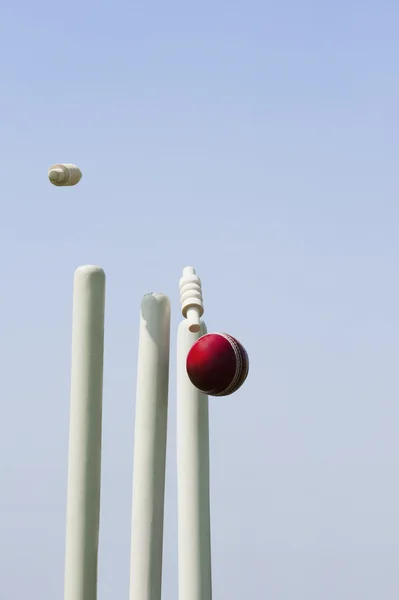 Boule de cricket frappant souches — Photo