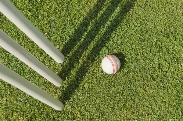 Ball in Nähe von Baumstümpfen — Stockfoto