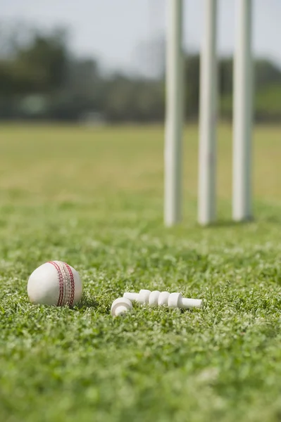 Мяч для крикета под залог — стоковое фото