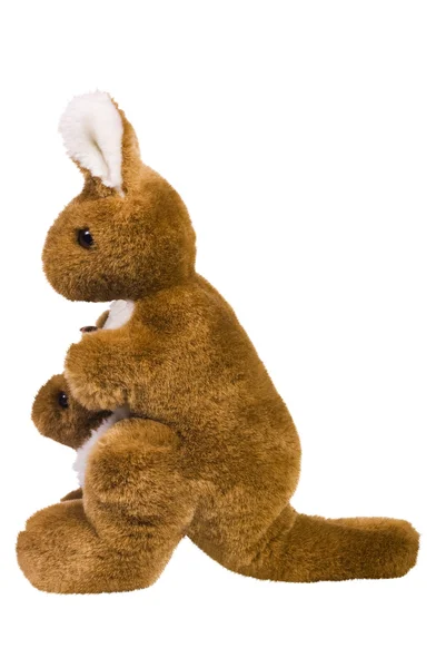 Brinquedos de canguru recheados — Fotografia de Stock