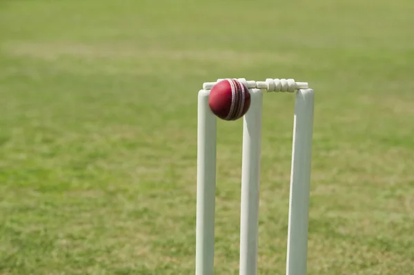 Cricket boll slår stubbar — Stockfoto