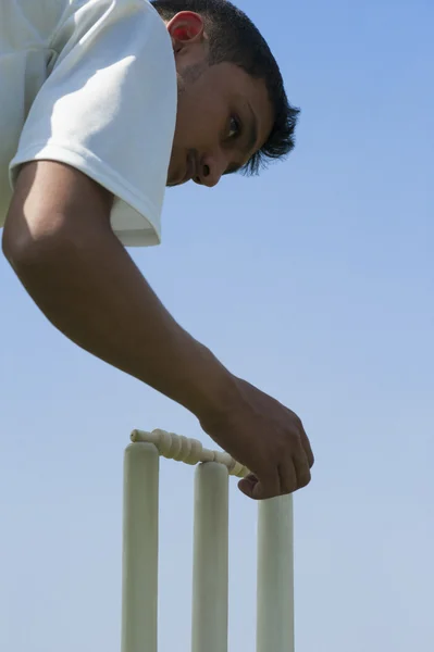 Cricket speler ProBorgtocht op stronken aanpassen — Stockfoto
