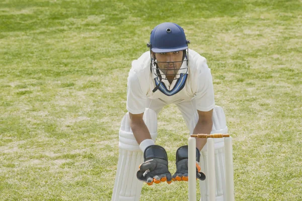 Kriket kaleci kütükleri arkasında — Stok fotoğraf