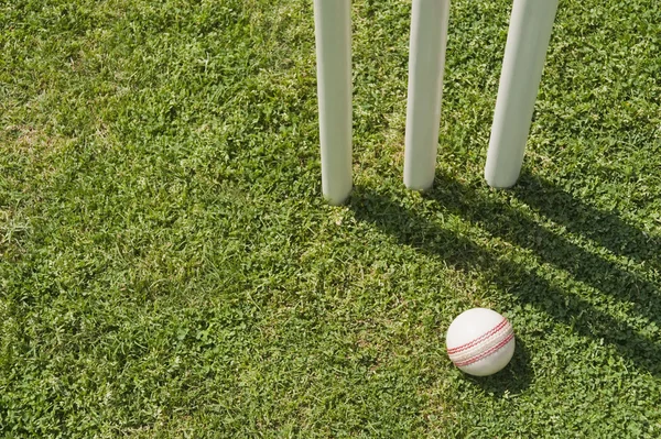 Ball in Nähe von Baumstümpfen — Stockfoto