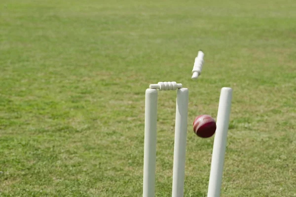 Pelota de cricket golpeando tocones — Foto de Stock