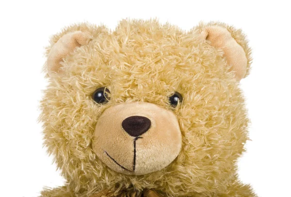 Urso de peluche — Fotografia de Stock