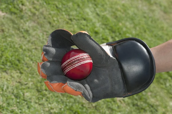 Wicket keeper fånga en boll — Stockfoto