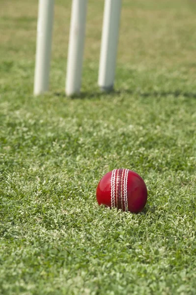 Kriketový míček — Stock fotografie